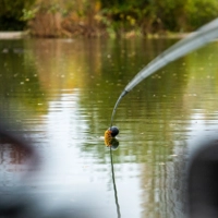 Guru Rapid Release Pole Cups